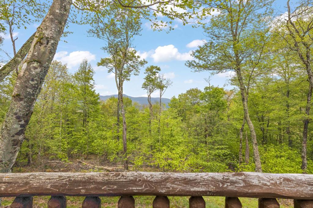 Lucky Bear Cabin Banner Elk Exterior photo